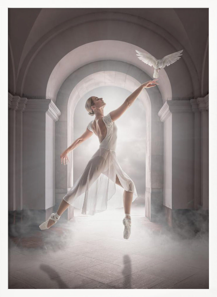 BirdDance - Poster / Art Print