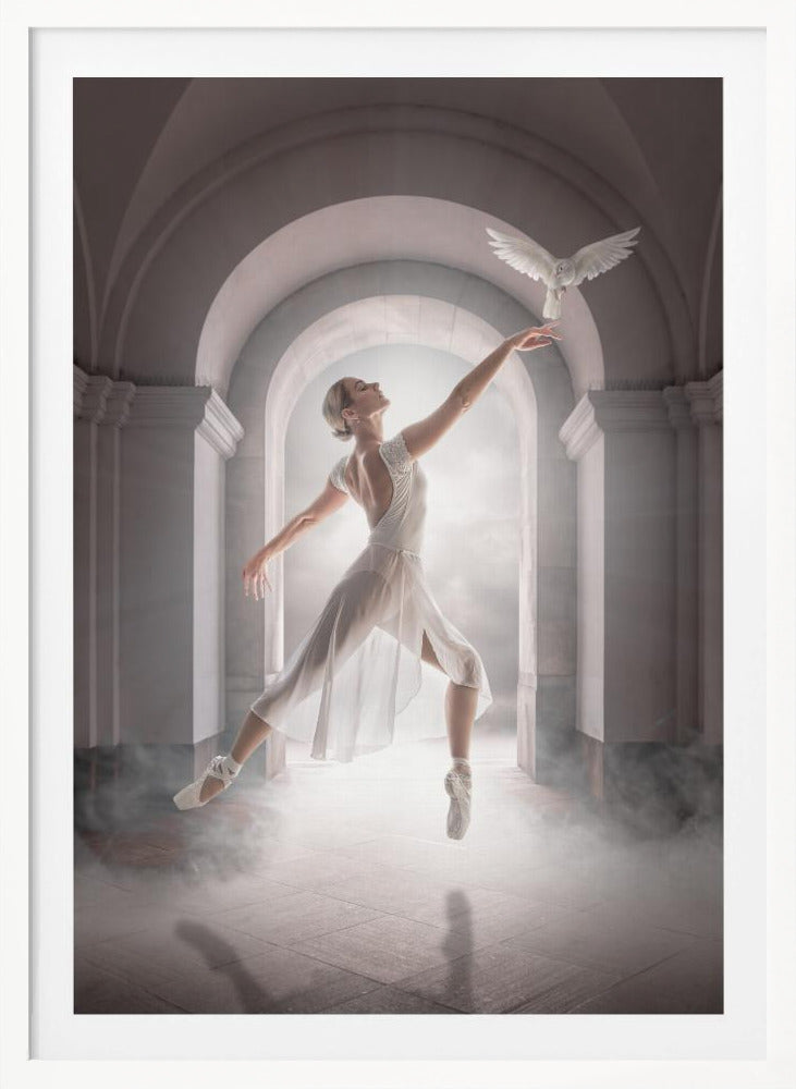 BirdDance - Poster / Art Print