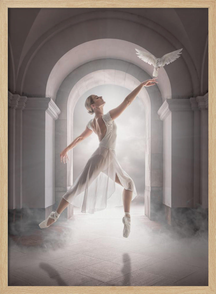 BirdDance - Poster / Art Print