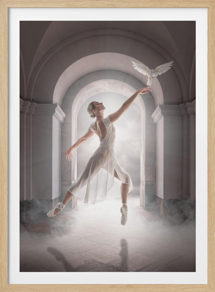 BirdDance - Poster / Art Print