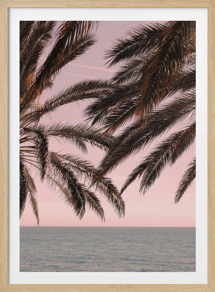 Palm_011 - Poster / Art Print