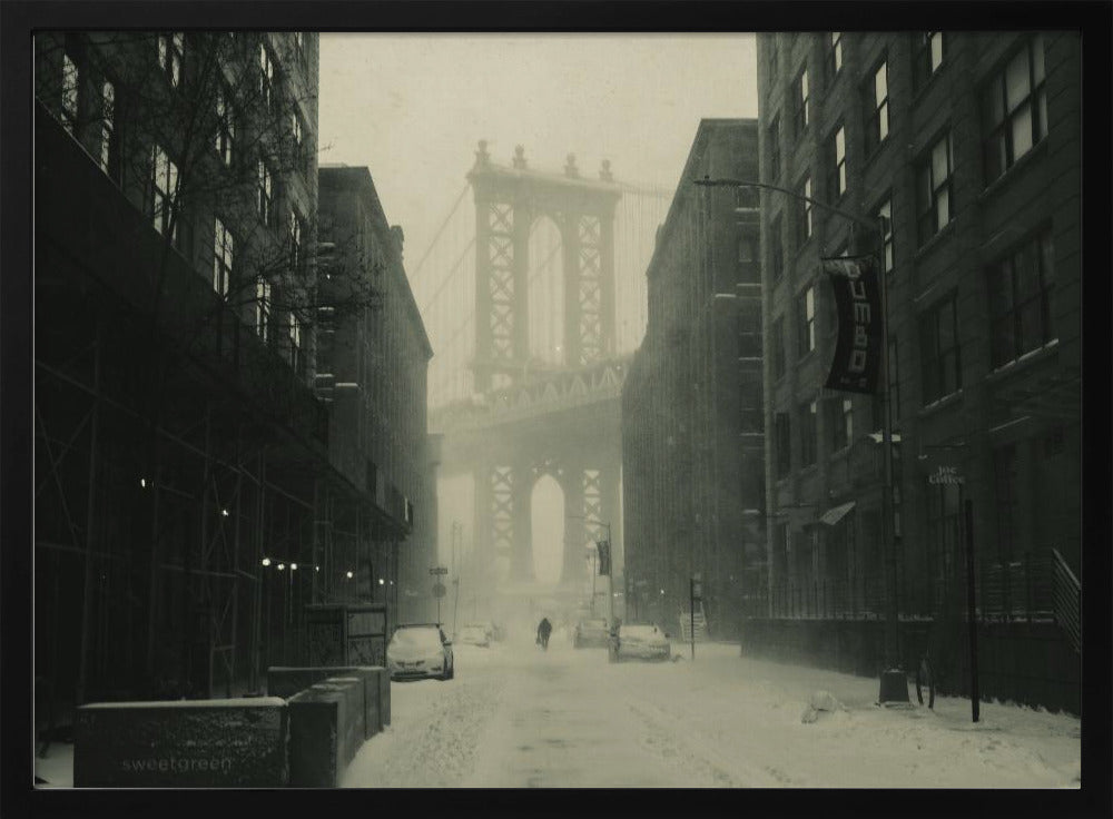 DumboInTheSnow - Poster / Art Print