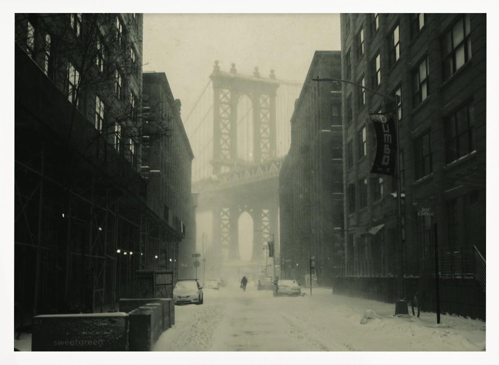 DumboInTheSnow - Poster / Art Print