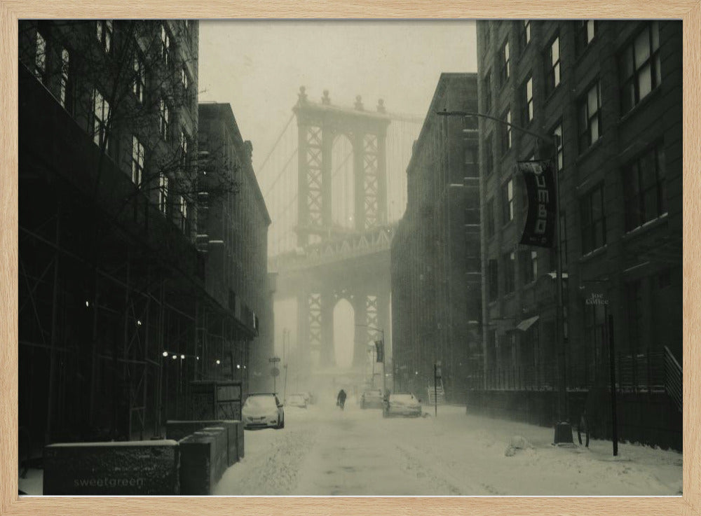 DumboInTheSnow - Poster / Art Print