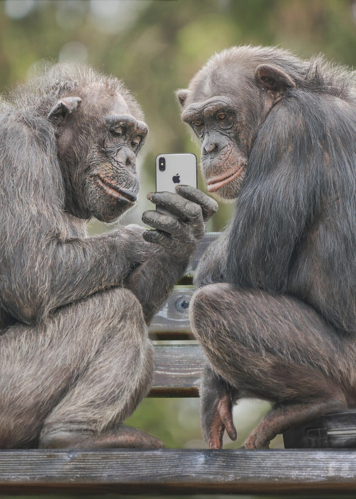 MonkeyPhone - Poster / Art Print