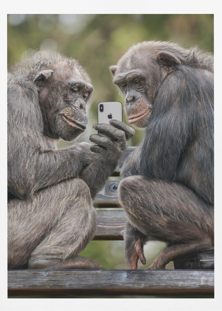 MonkeyPhone - Poster / Art Print