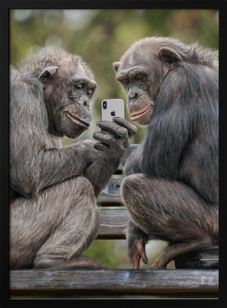 MonkeyPhone - Poster / Art Print