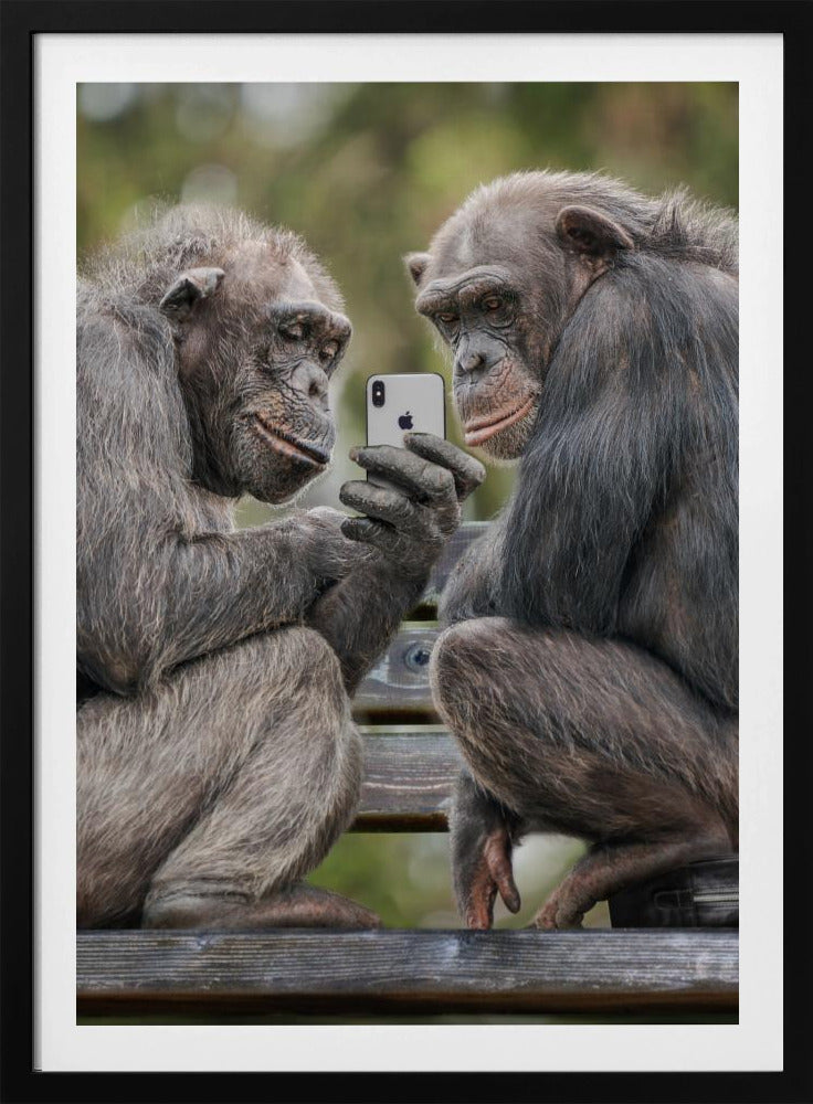 MonkeyPhone - Poster / Art Print