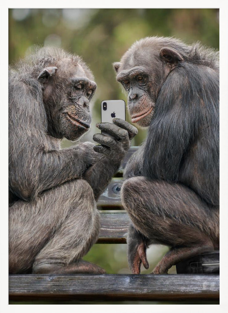 MonkeyPhone - Poster / Art Print