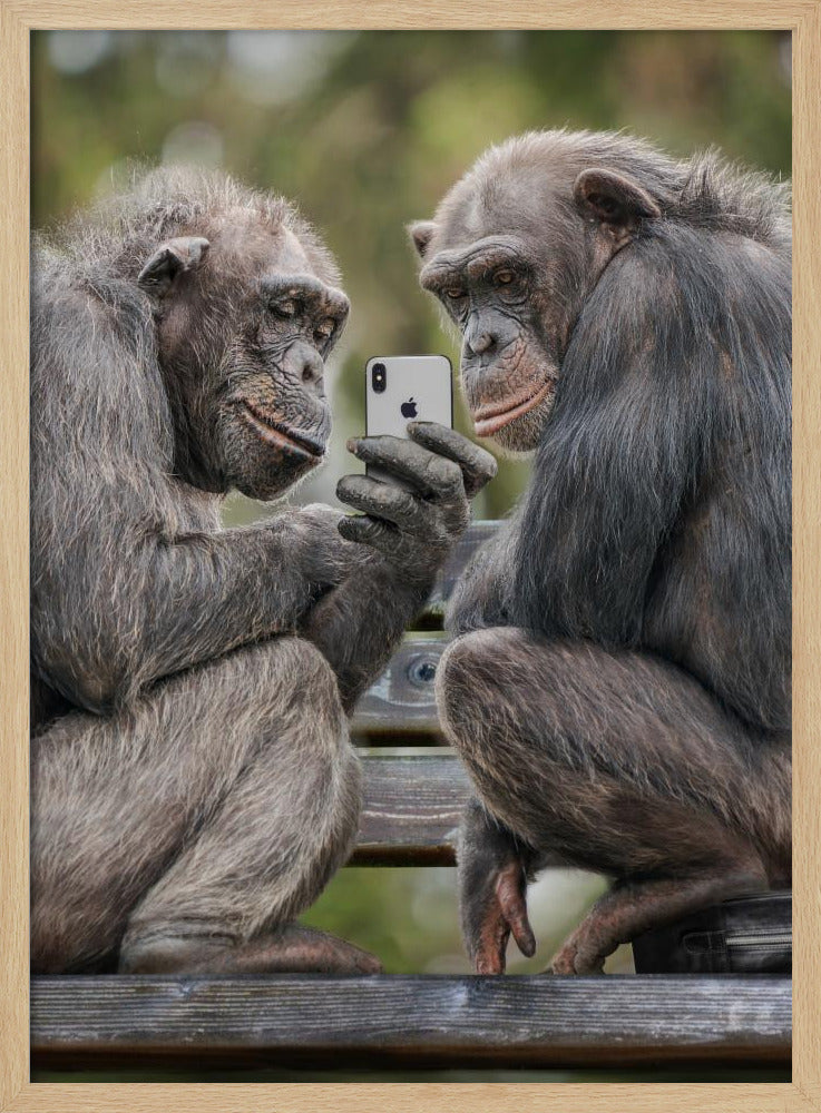 MonkeyPhone - Poster / Art Print