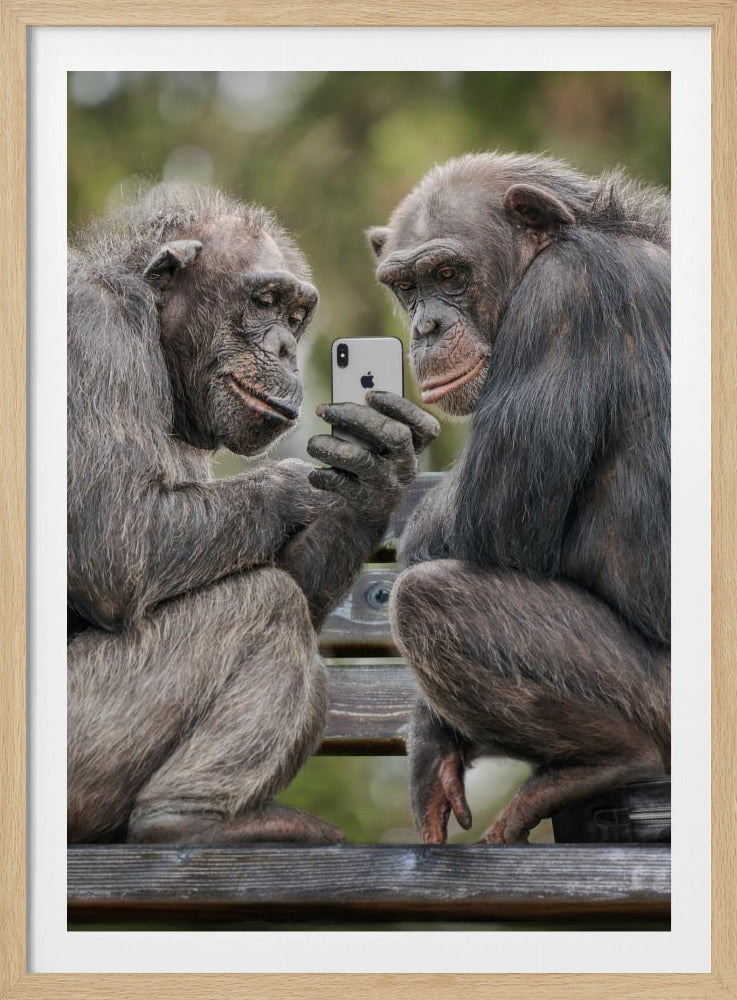 MonkeyPhone - Poster / Art Print