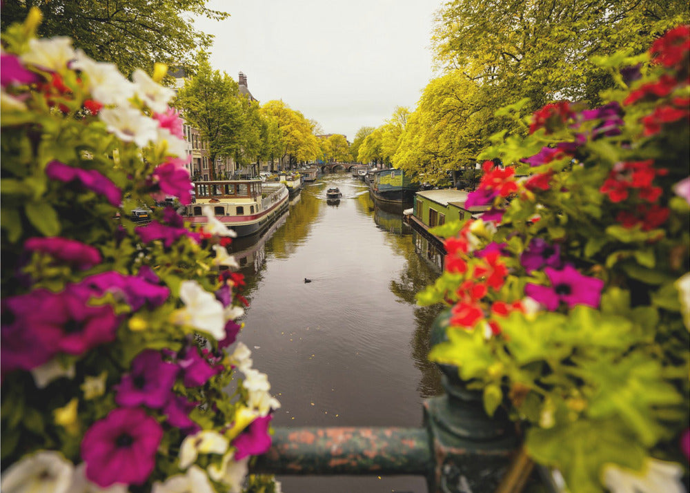 Floral in Amsterdam - Poster / Art Print