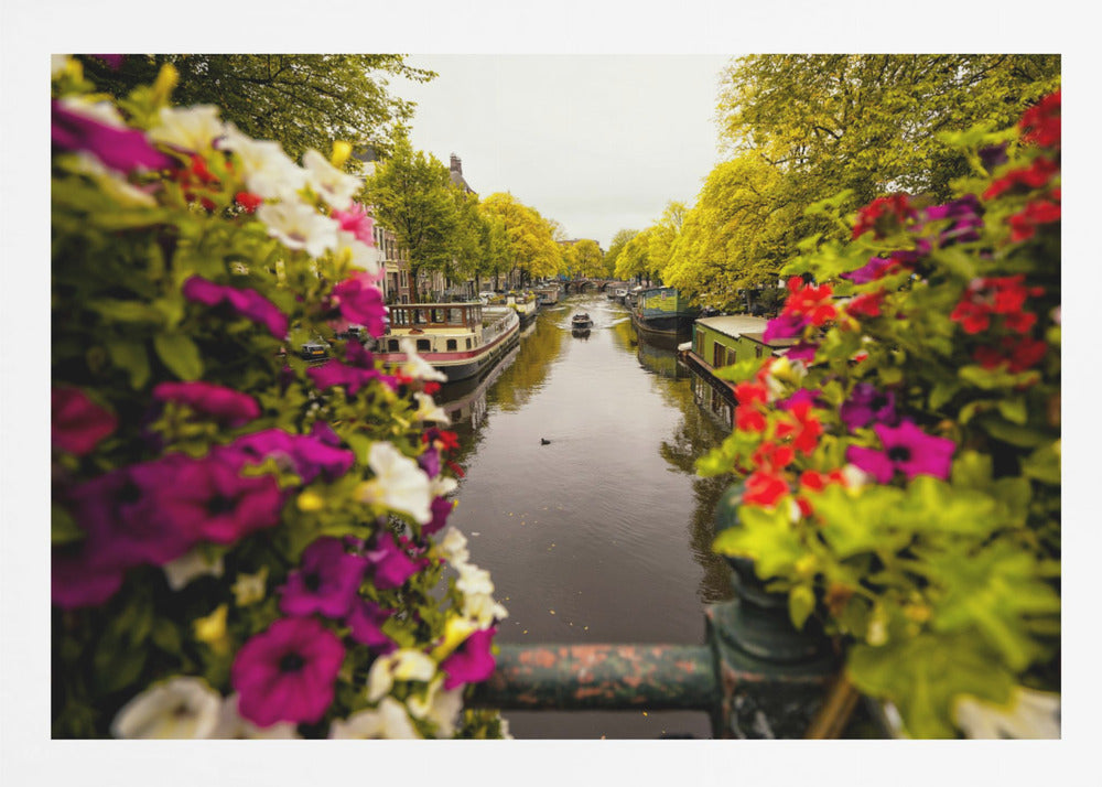 Floral in Amsterdam - Poster / Art Print