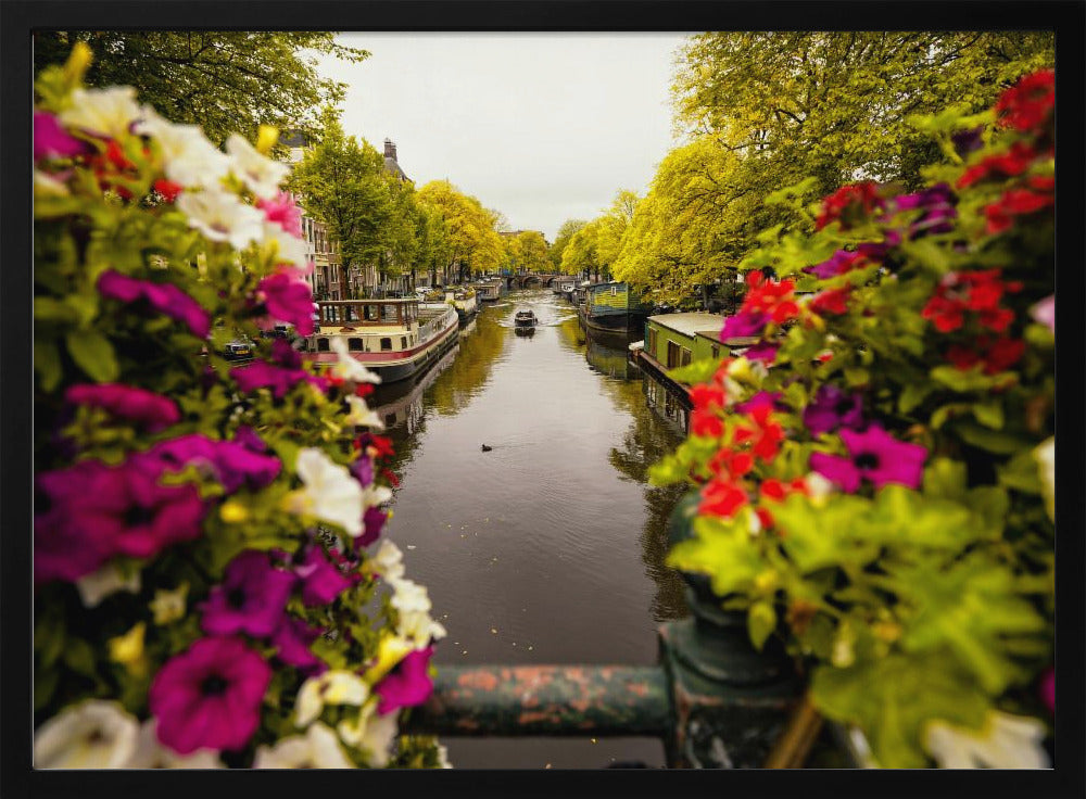 Floral in Amsterdam - Poster / Art Print
