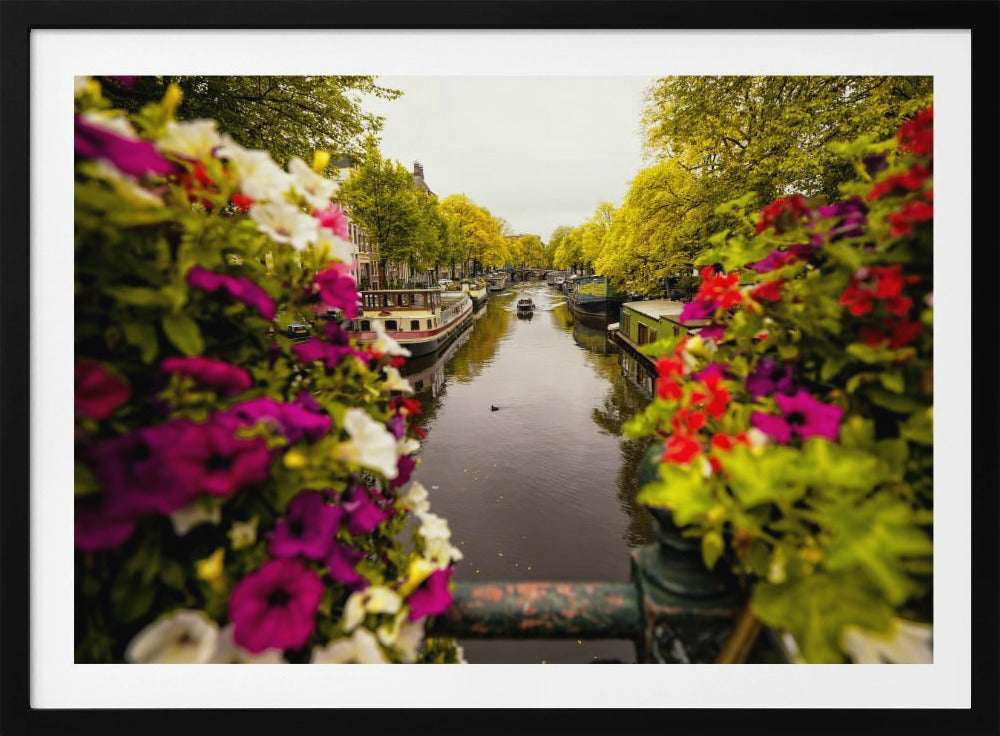 Floral in Amsterdam - Poster / Art Print