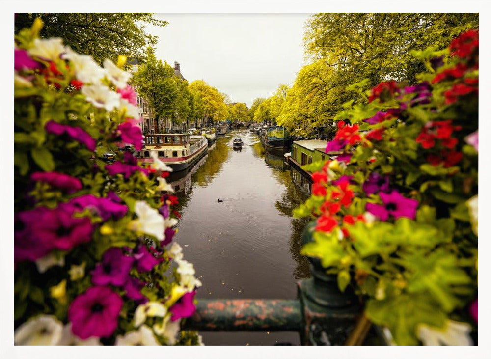 Floral in Amsterdam - Poster / Art Print