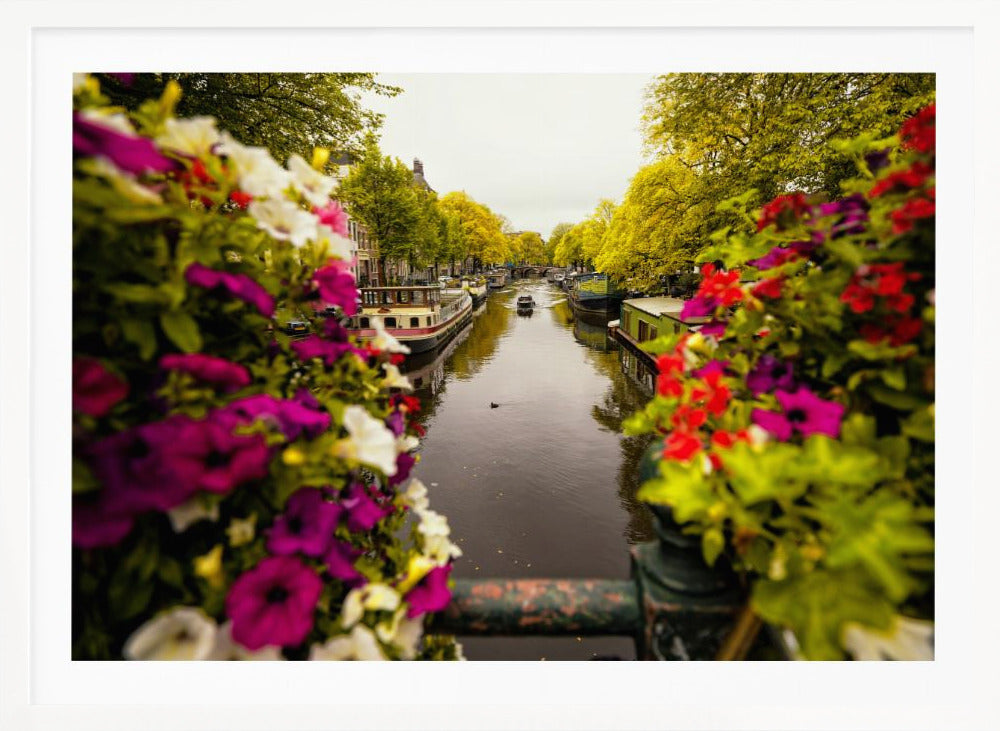 Floral in Amsterdam - Poster / Art Print