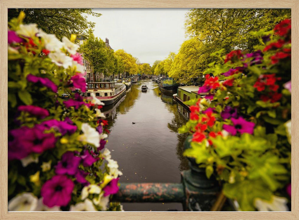 Floral in Amsterdam - Poster / Art Print
