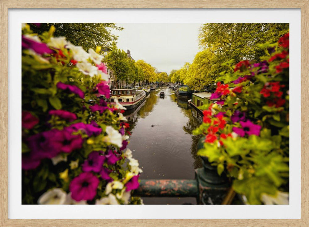 Floral in Amsterdam - Poster / Art Print
