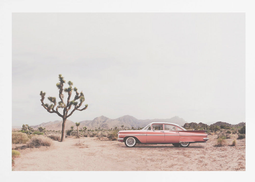 In the desert - Poster / Art Print