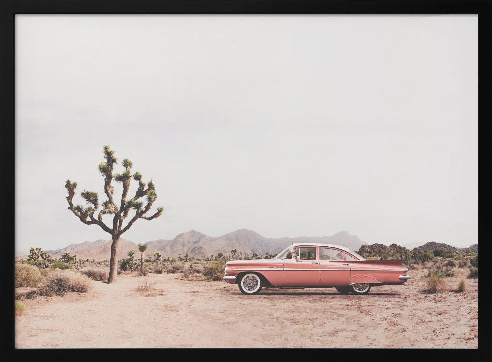 In the desert - Poster / Art Print