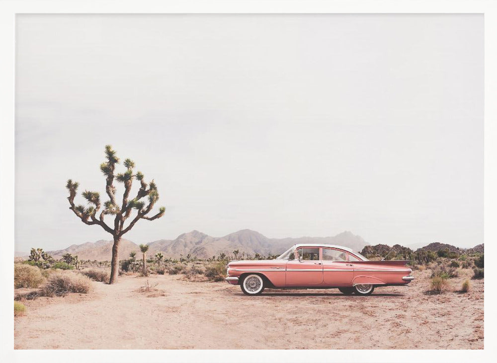 In the desert - Poster / Art Print