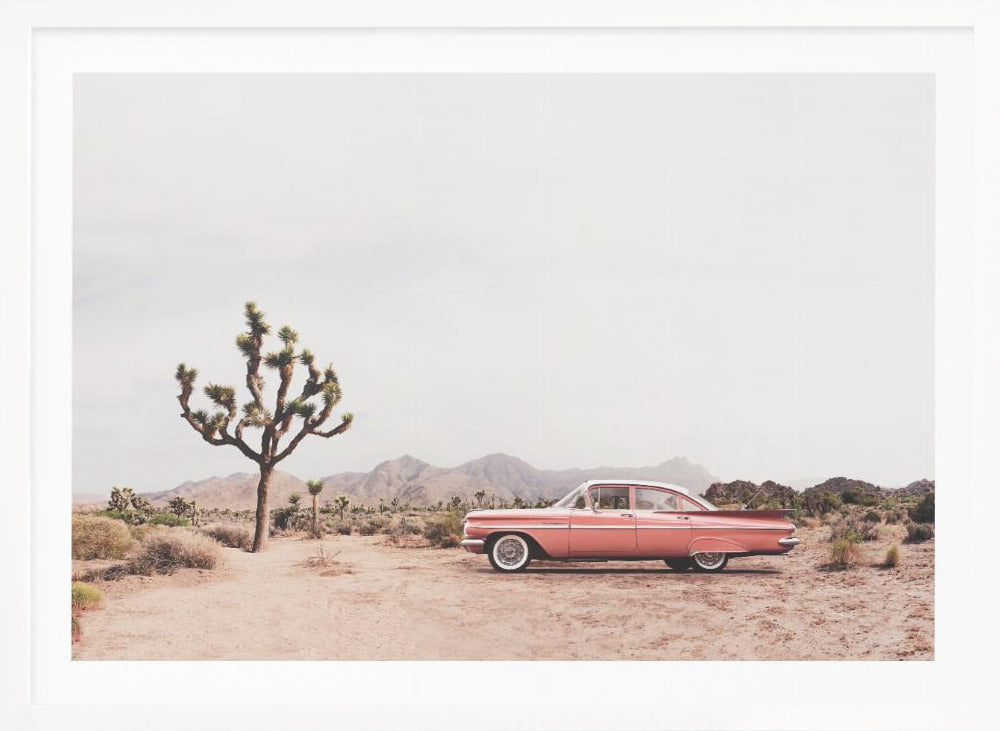 In the desert - Poster / Art Print