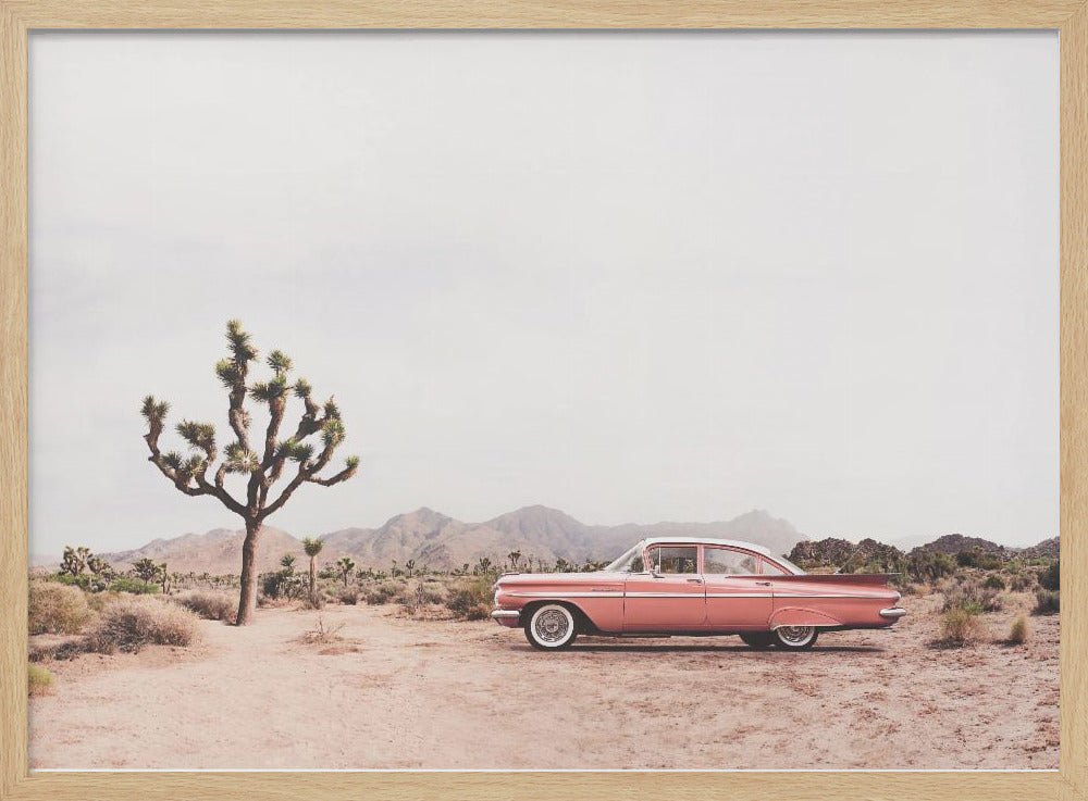 In the desert - Poster / Art Print