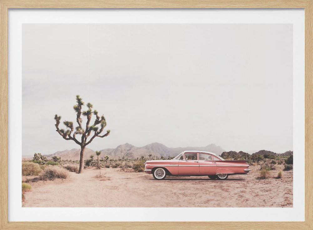 In the desert - Poster / Art Print
