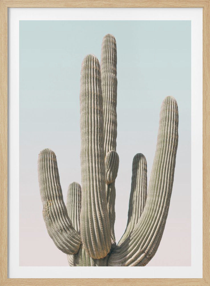 Saguaro - Poster / Art Print