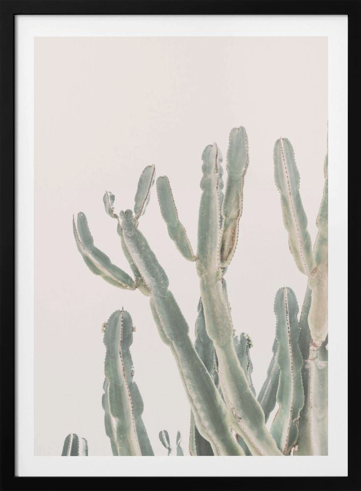 Sunrise Cactus - Poster / Art Print
