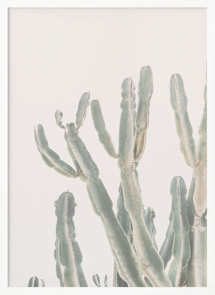 Sunrise Cactus - Poster / Art Print