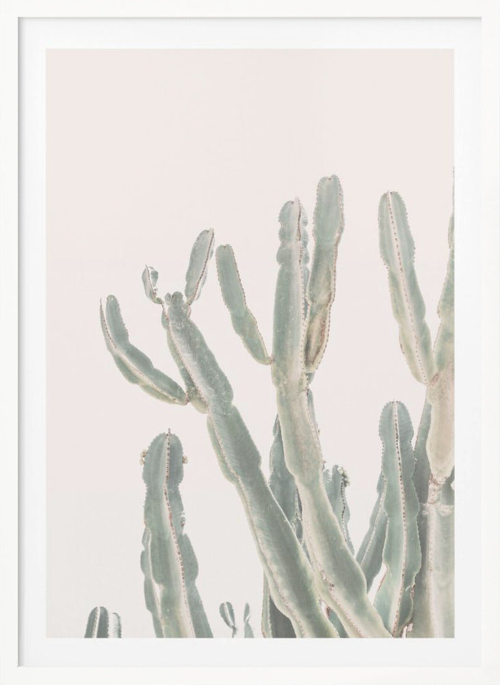 Sunrise Cactus - Poster / Art Print