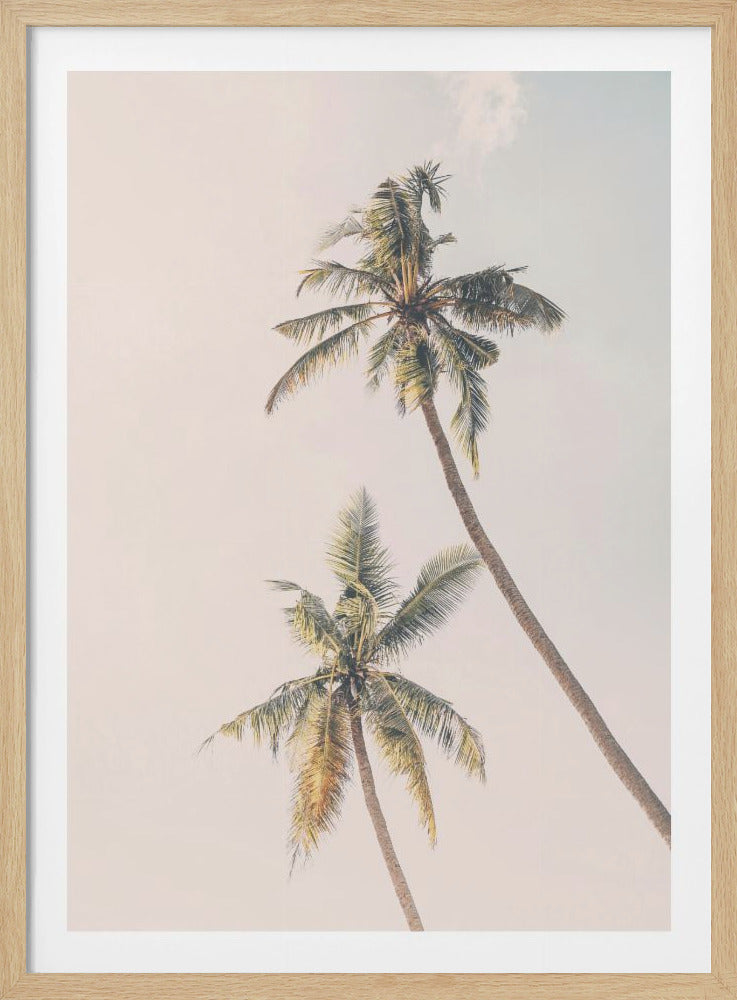 Tropical Palms - Poster / Art Print