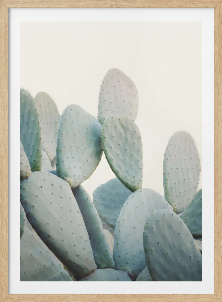 Pastel Cacti - Poster / Art Print