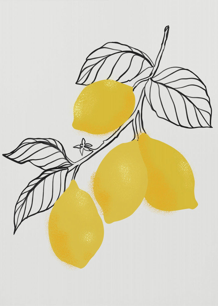 Lamya lemons - Poster / Art Print
