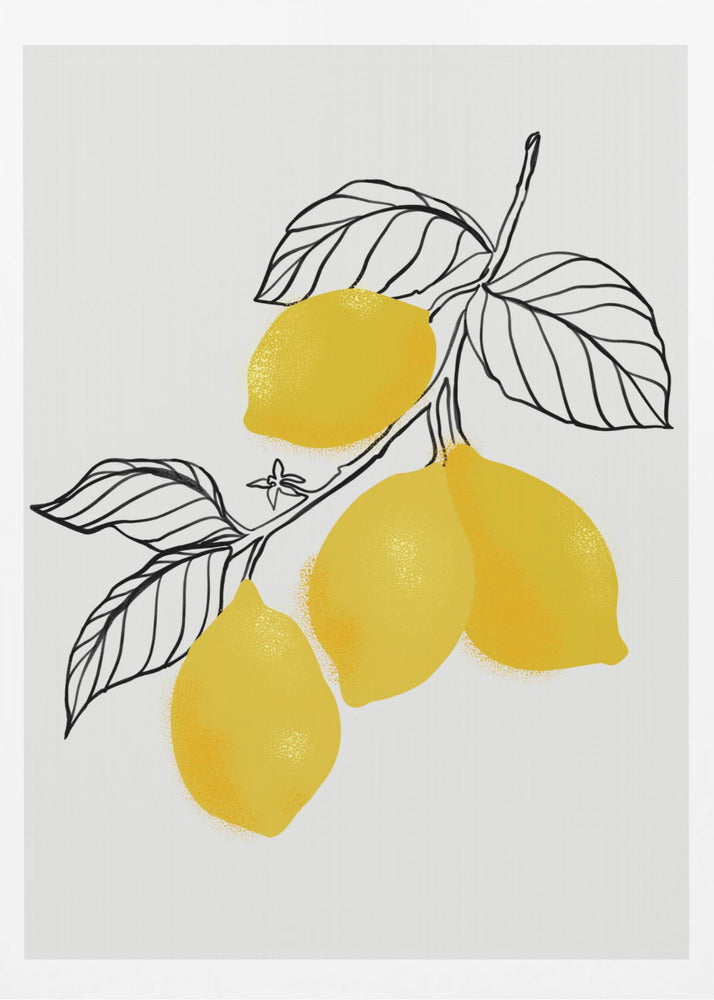 Lamya lemons - Poster / Art Print