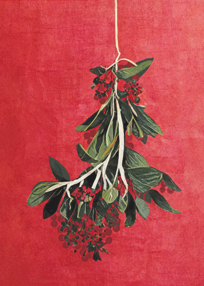 Painted Mistletoe - Poster / Art Print