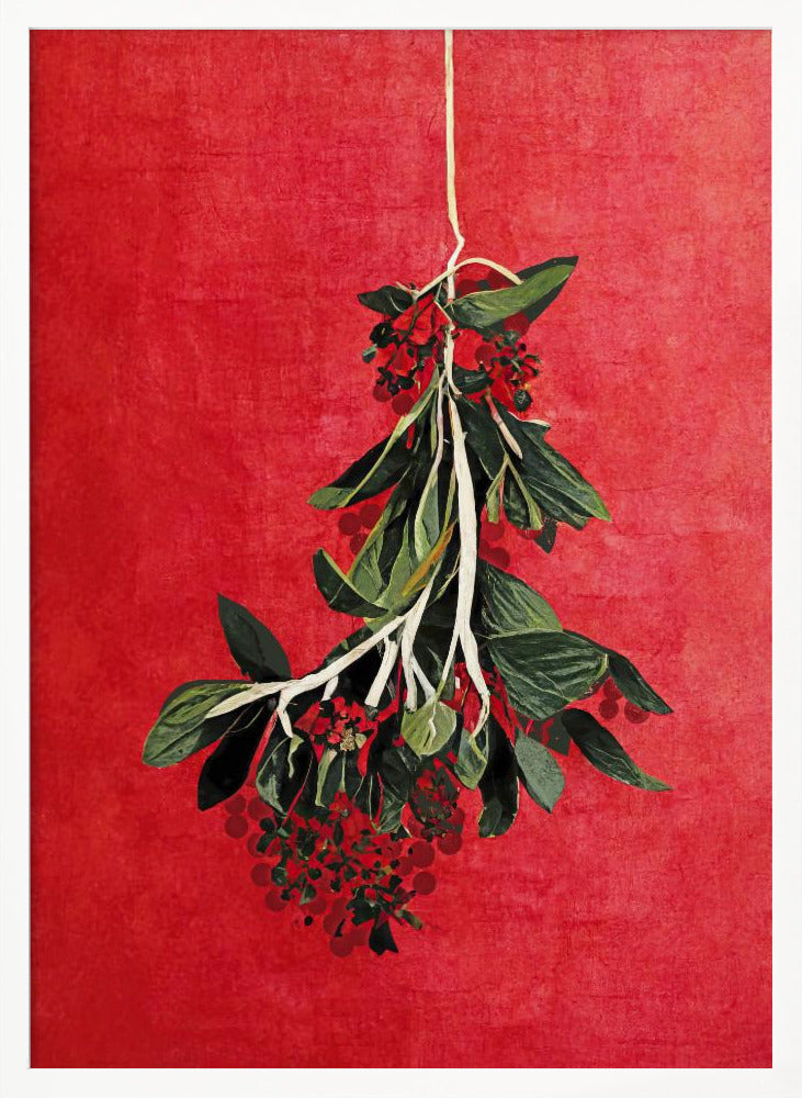Painted Mistletoe - Poster / Art Print