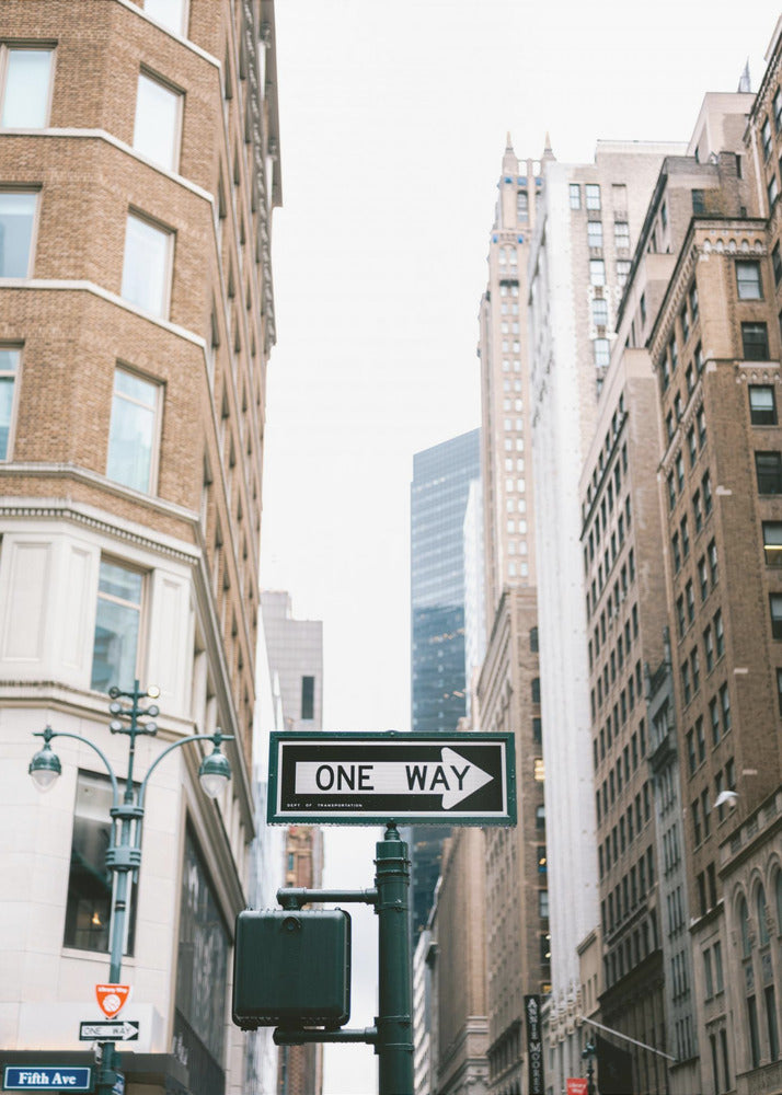 Fifth Avenue New York - Poster / Art Print