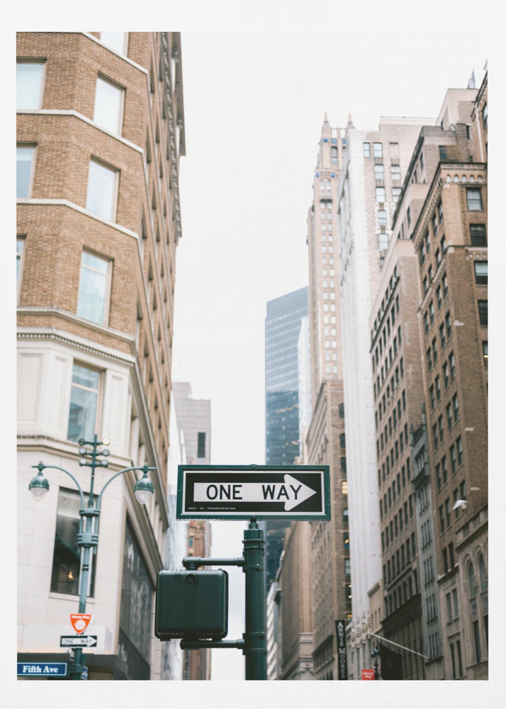 Fifth Avenue New York - Poster / Art Print