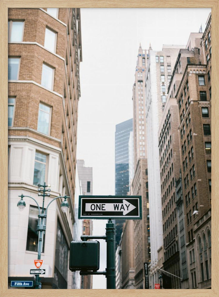 Fifth Avenue New York - Poster / Art Print