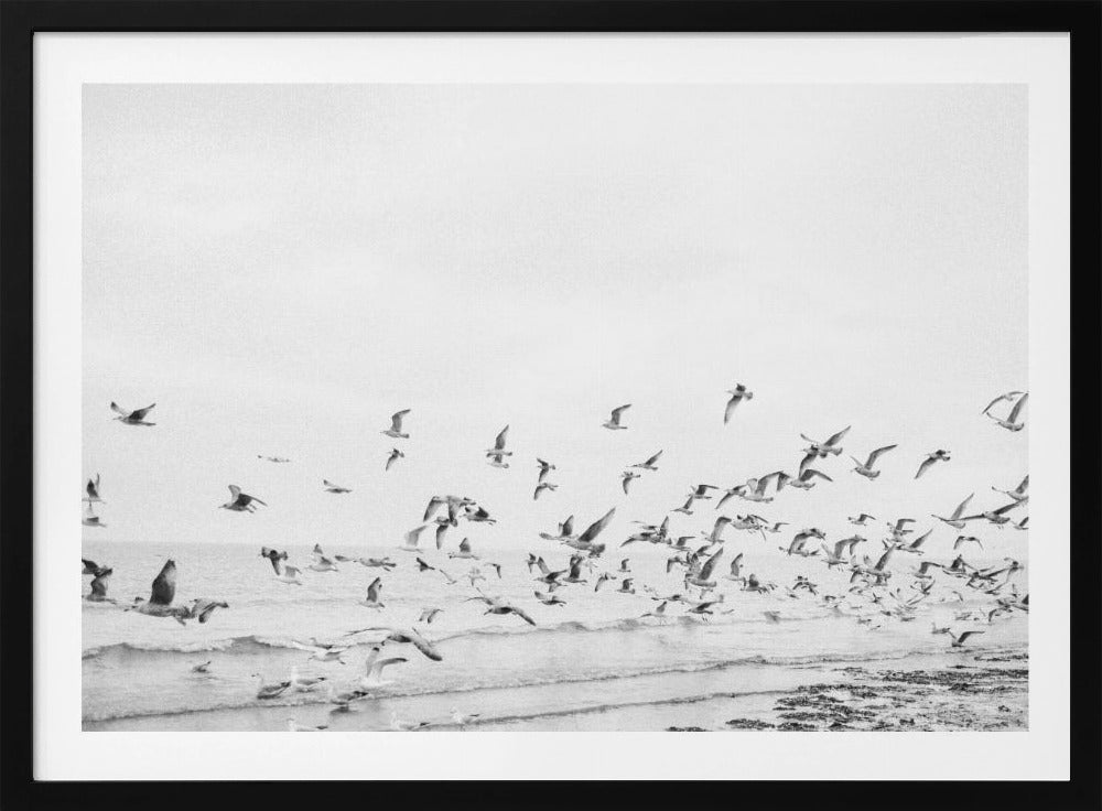 Seagulls - Coastal black and white - Poster / Art Print