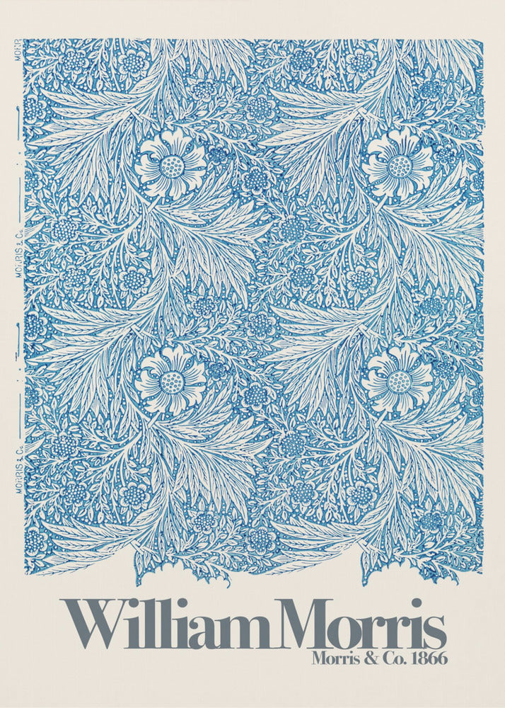 Marigold - Poster / Art Print