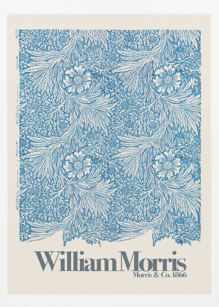 Marigold - Poster / Art Print