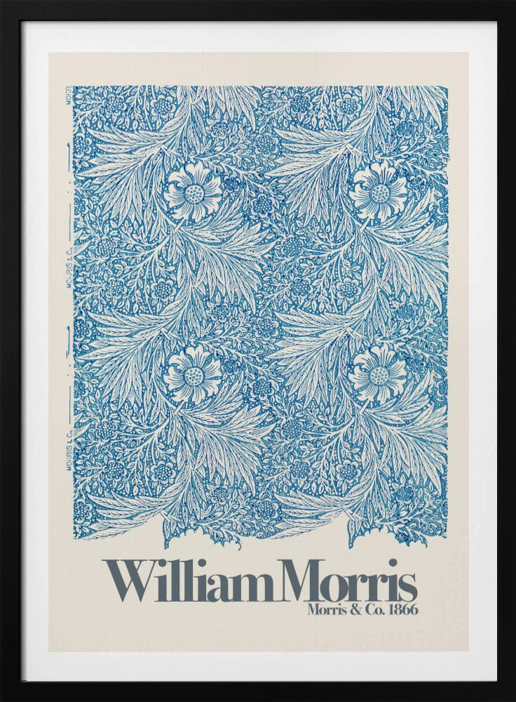 Marigold - Poster / Art Print