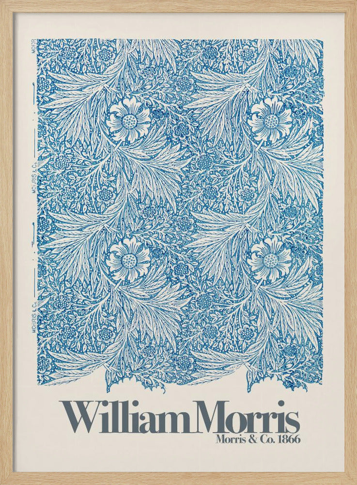Marigold - Poster / Art Print
