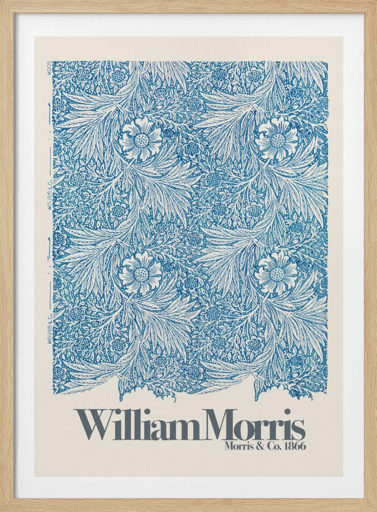 Marigold - Poster / Art Print