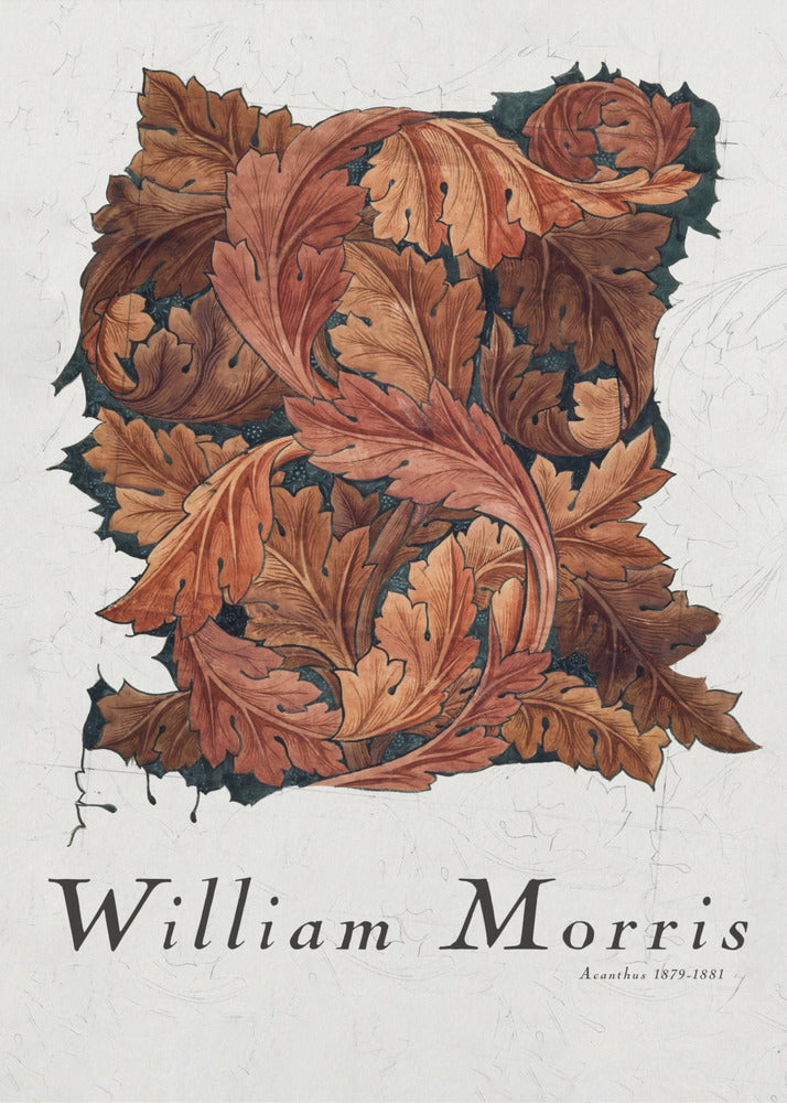 Acanthus - Poster / Art Print