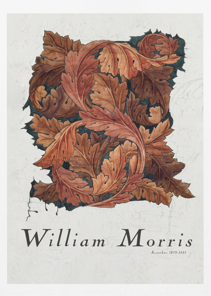 Acanthus - Poster / Art Print